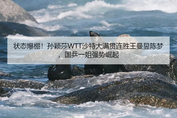 状态爆棚！孙颖莎WTT沙特大满贯连胜王曼昱陈梦，国乒一姐强势崛起